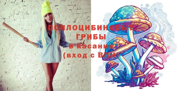 PSILOCYBIN Алексеевка