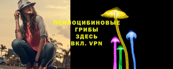 мескалин Алексин