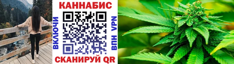 как найти закладки  Котельнич  Бошки марихуана White Widow 